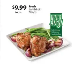 Aldi Fresh Lamb Loin Chops offer