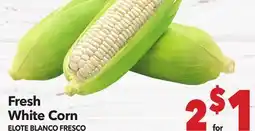 Vallarta Supermarkets Fresh White Corn/ELOTE BLANCO FRESCO offer