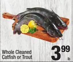 Super King Markets Whole Cleaned Catfish or Trout offer