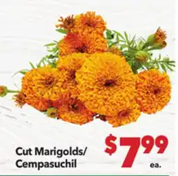 Vallarta Supermarkets Cut Marigolds / Cempasuchil offer