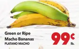 Vallarta Supermarkets Green or Ripe Macho Bananas / PLATANO MACHO offer
