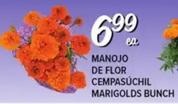 El Super Fresh MARIGOLDS BUNCH offer