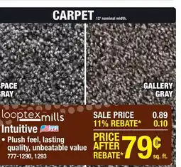 Menards Intuitive Carpet offer