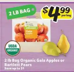 Winn Dixie 2 lb Bag Organic Gala Apples or Bartlett Pears offer