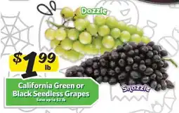 Winn Dixie California Green or Black Seedless Grapes offer