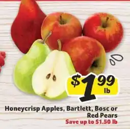 Winn Dixie Honeycrisp Apples, Bartlett, Bosc or Red Pears offer