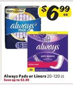 Winn Dixie Always Pads or Liners offer
