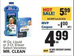 Food Lion Mr. Clean offer