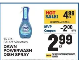 Food Lion Dawn Powerwash Dish Spray offer