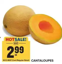 Food Lion Cantaloupes offer