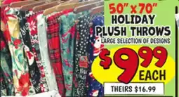 Ollie's 50X70 HOLIDAY PLUSH THROWS offer