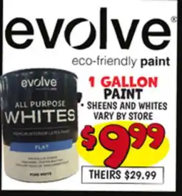 Ollie's EVOLVE 1 GALLON PAINT offer