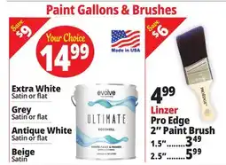 Ocean State Job Lot Paint Gallons & Brushes offer