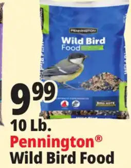 Ocean State Job Lot Pennington Wild Bird Food 10 lbs offer