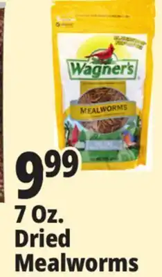 Ocean State Job Lot Wagner's Bird Meal Worms 7oz offer