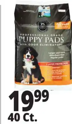 Ocean State Job Lot Huntington Pet Products Professional Grade 27.5 x 35 Puppy Pads with Odor Eliminators 40 Count offer
