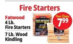 Ocean State Job Lot Fire Starters offer