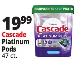 Ocean State Job Lot Cascade Platinum Plus Dishwasher Pods 47 Ct offer