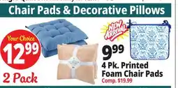 Ocean State Job Lot Decorative Chair Pads & Pillows offer