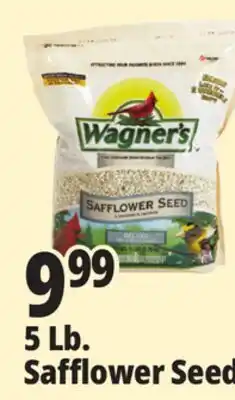 Ocean State Job Lot Wagner's Safflower Seed Deluxe Wild Bird Food offer