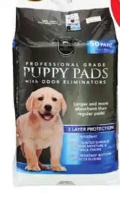 Ocean State Job Lot 24x24 Puppy Pads with Odor Eliminators 50 Count offer