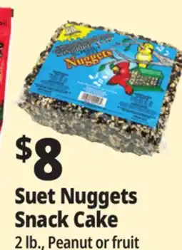 Ocean State Job Lot Suet Nuggets Snack Cake offer