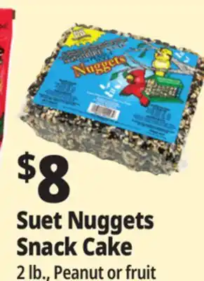 Ocean State Job Lot Suet Nuggets Snack Cake offer