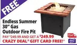 Ocean State Job Lot Endless Summer 30 Printed LP Gas Outdoor Fire Pit 50 000 BTU offer