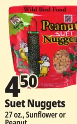 Ocean State Job Lot Suet Nuggets offer