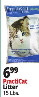 Ocean State Job Lot Premium Scoopable Cat Litter 15 lbs offer