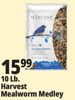 Ocean State Job Lot Harvest Seed & Supply Mealworm Medley Wild Bird Food 10 lb offer