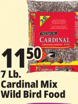 Ocean State Job Lot Better Bird Premium Cardinal Blend Bird Food 7 lbs offer
