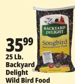 Ocean State Job Lot Backyard Delight Songbird Food 25 lbs offer