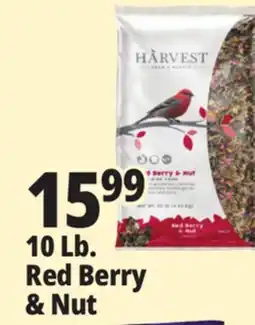 Ocean State Job Lot Harvest Seed & Supply Red Berry & Nut Wild Bird Food 10 lb offer