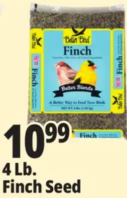 Ocean State Job Lot Better Bird Finch Bird Food 4 lbs offer