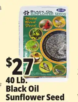Ocean State Job Lot Black Oil Sunflower Seeds 40 lbs offer