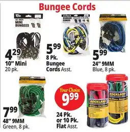 Ocean State Job Lot Bungee Cords offer