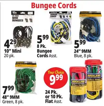 Ocean State Job Lot Bungee Cords offer