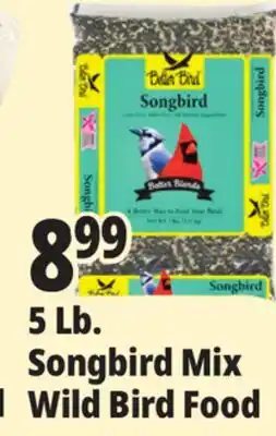 Ocean State Job Lot Better Bird Songbird Better Blends Food 5 lbs offer