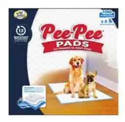 Ocean State Job Lot 100 Ct. Pee-Pee Pads offer