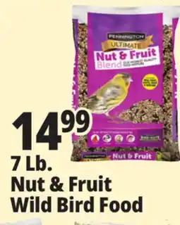 Ocean State Job Lot Pennington Ultimate Nut & Fruit Blend Wild Bird Seed 7 lbs offer