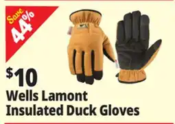 Ocean State Job Lot Wells Lamont Insulated Duck Gloves offer