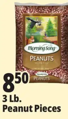 Ocean State Job Lot Morning Song Wildlife Food Peanuts 3 lbs offer