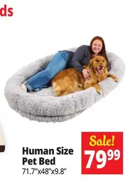 Ocean State Job Lot Human Size Pet Bed offer