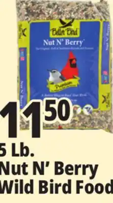Ocean State Job Lot Better Bird Premium Nut N' Berry Bird Food 5 lbs offer
