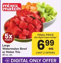 ACME Large Watermelon Bowl or Melon Trio offer