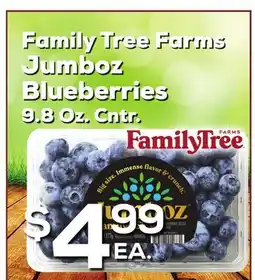 DeCicco & Sons Family Tree Farms Jumboz Blueberries offer