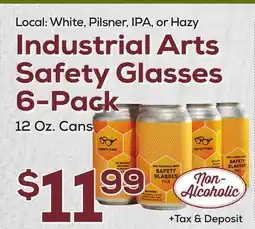 DeCicco & Sons Hazy Industrial Arts Safety Glasses 6-Pack offer