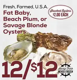 DeCicco & Sons Fat Baby Beach Plum, or Savage Blonde Oysters offer
