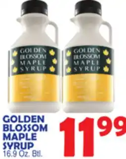 Bravo Supermarkets GOLDEN BLOSSOM MAPLE SYRUP offer